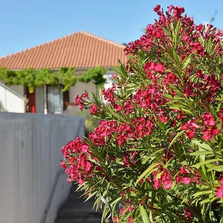 度假居 House Ivy - Next To Marina Hramina 穆泰尔岛