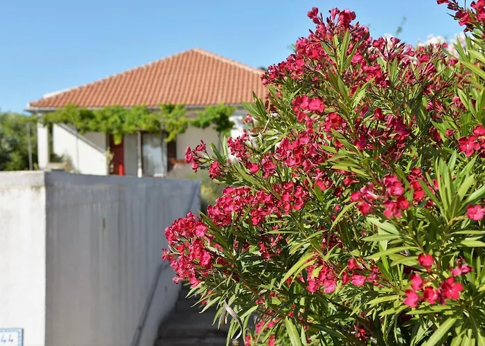 Vakantiehuis House Ivy Murter