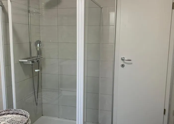 House Ivy 무르테르