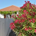 Nyaraló House Ivy Murter